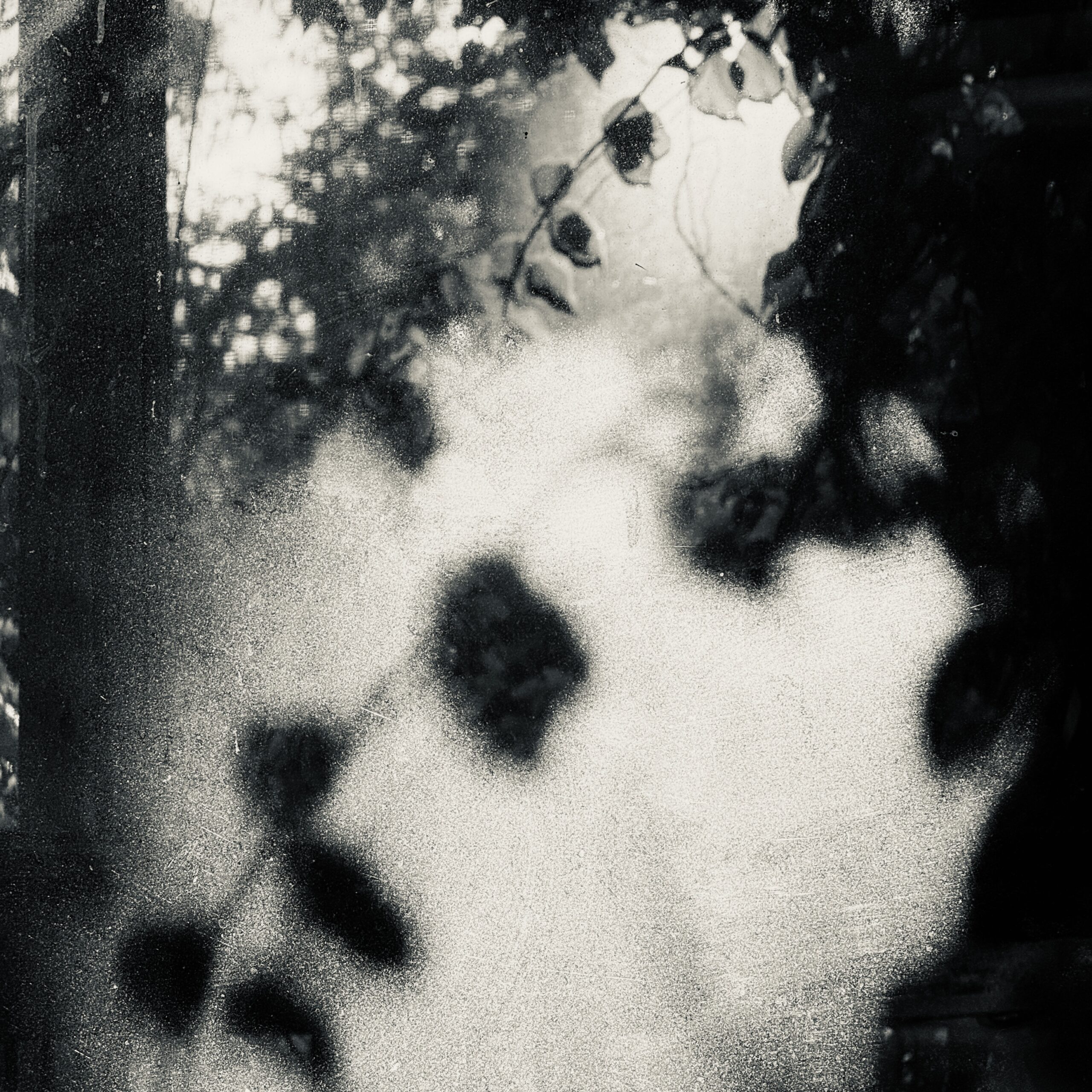 Black and white treatment