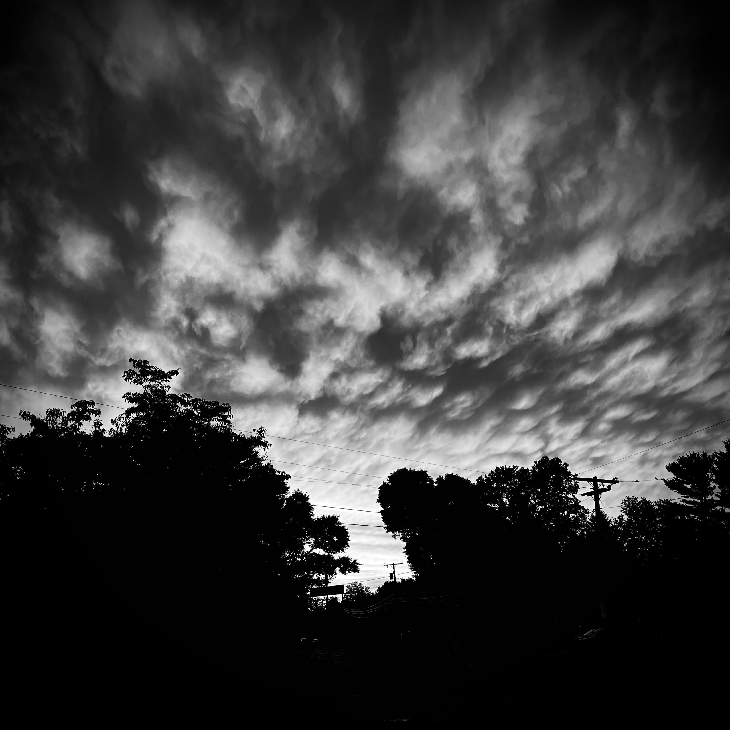 IMG_0608