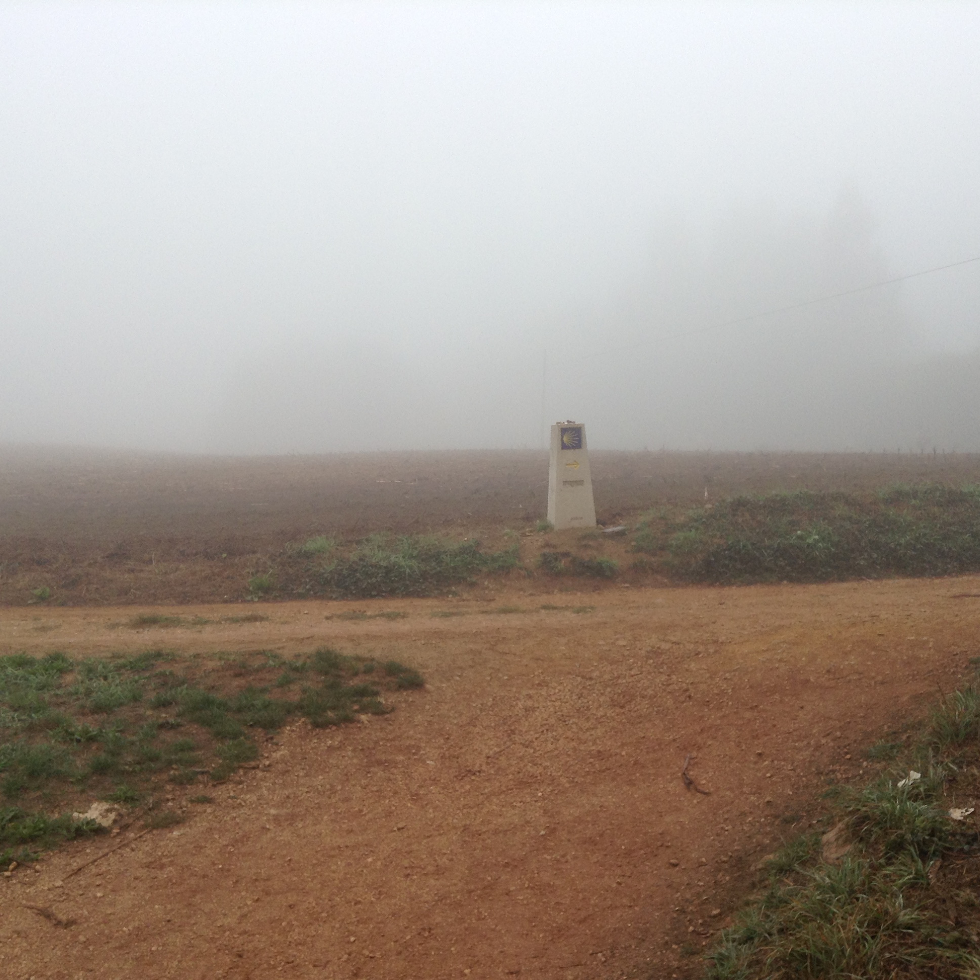 Lonely way marker looming in the mist