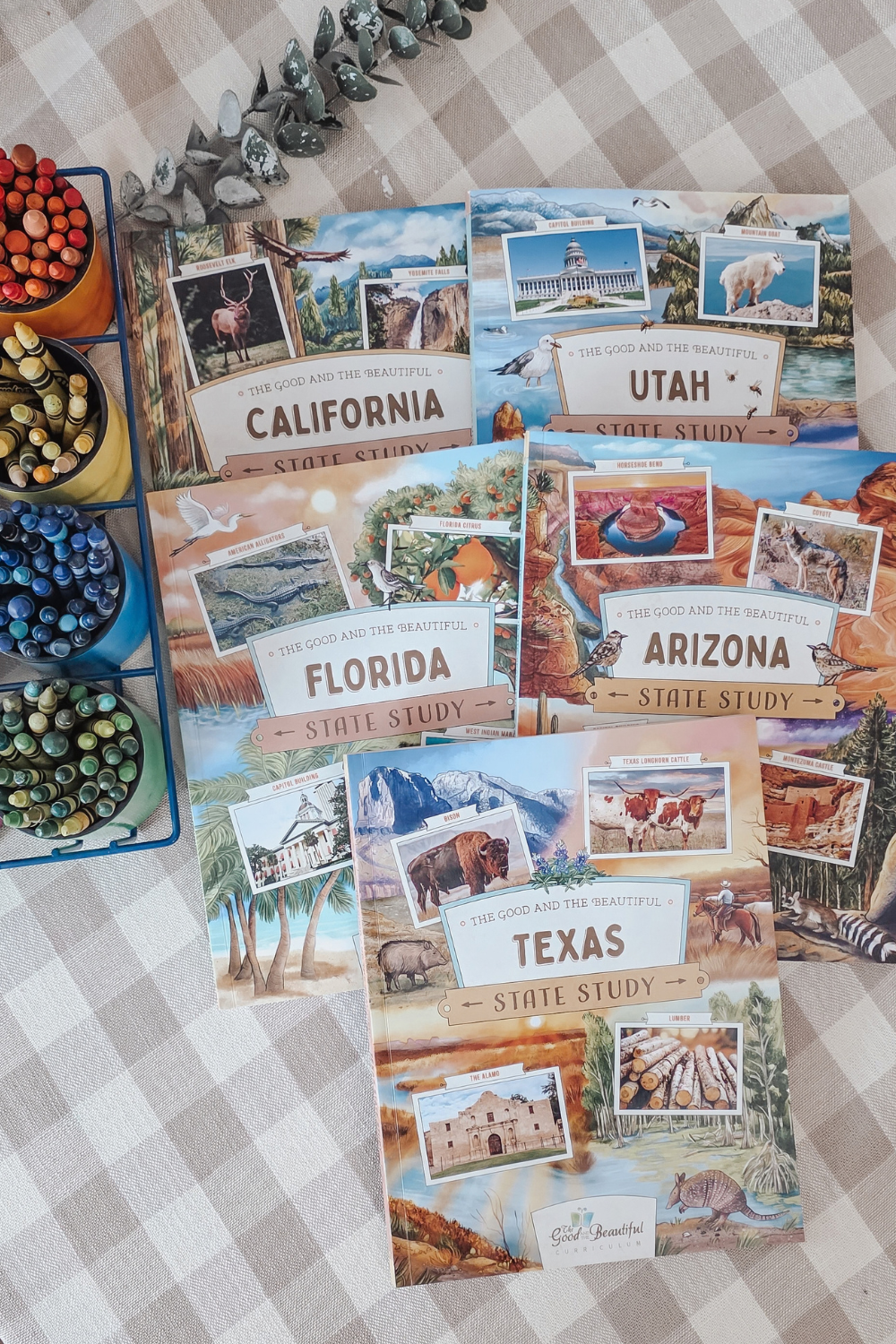 Good and the Beautiful State Study curriculum books
