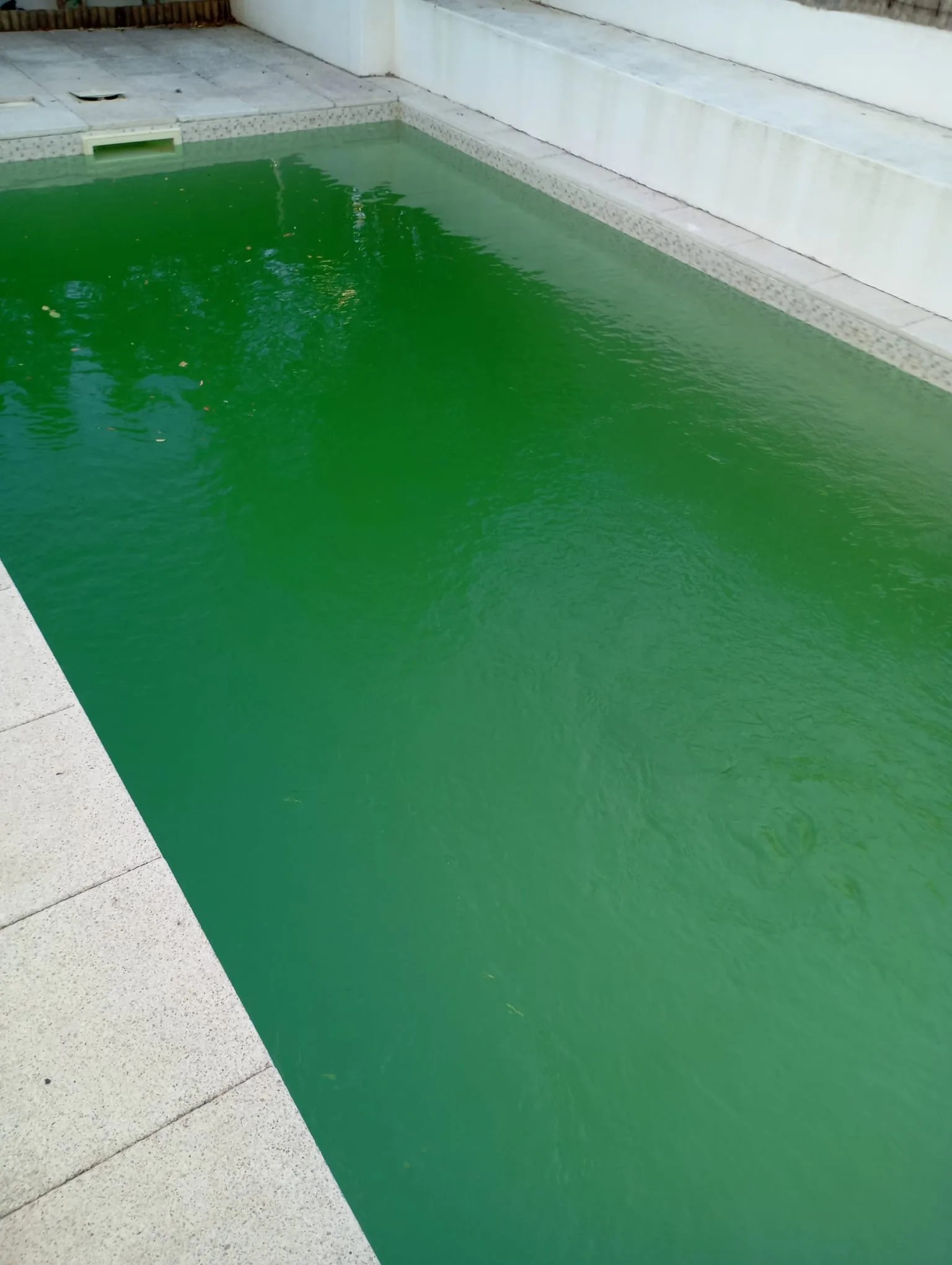 Piscina antes da recuperação, com água verde