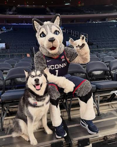 UConn students on campus