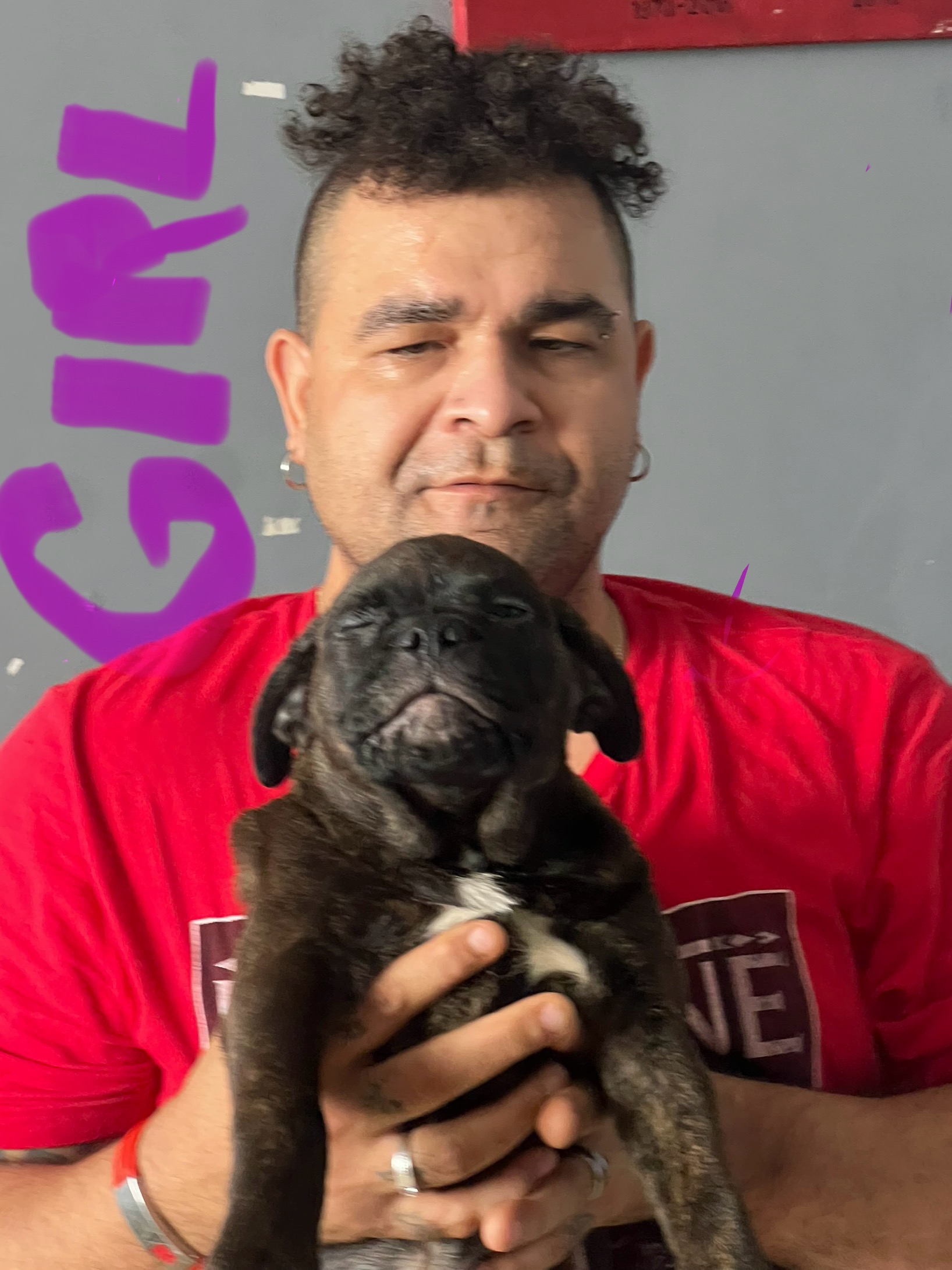 Puppies for sale