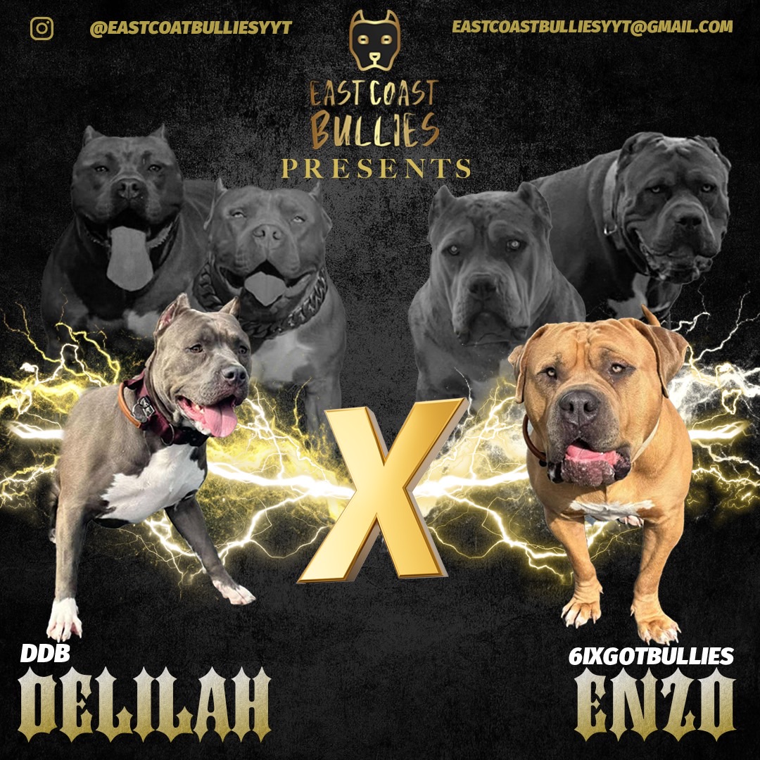 Puppies for sale