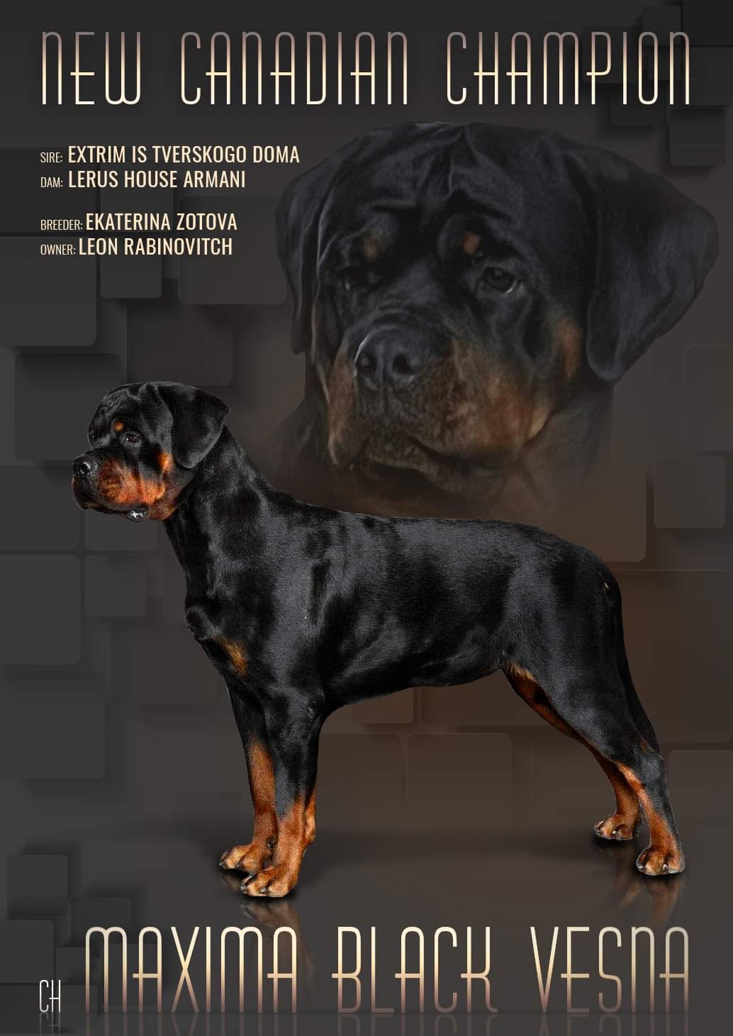 Puppies for sale
