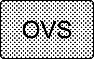 OVS