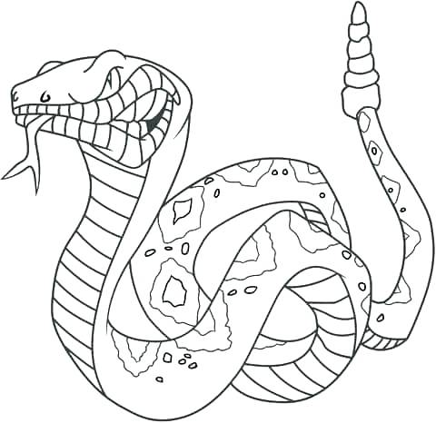 Ball python coloring pages at getcolorings.com