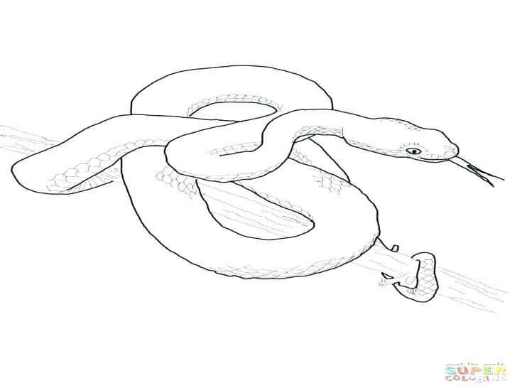 Ball python coloring pages at getcolorings.com
