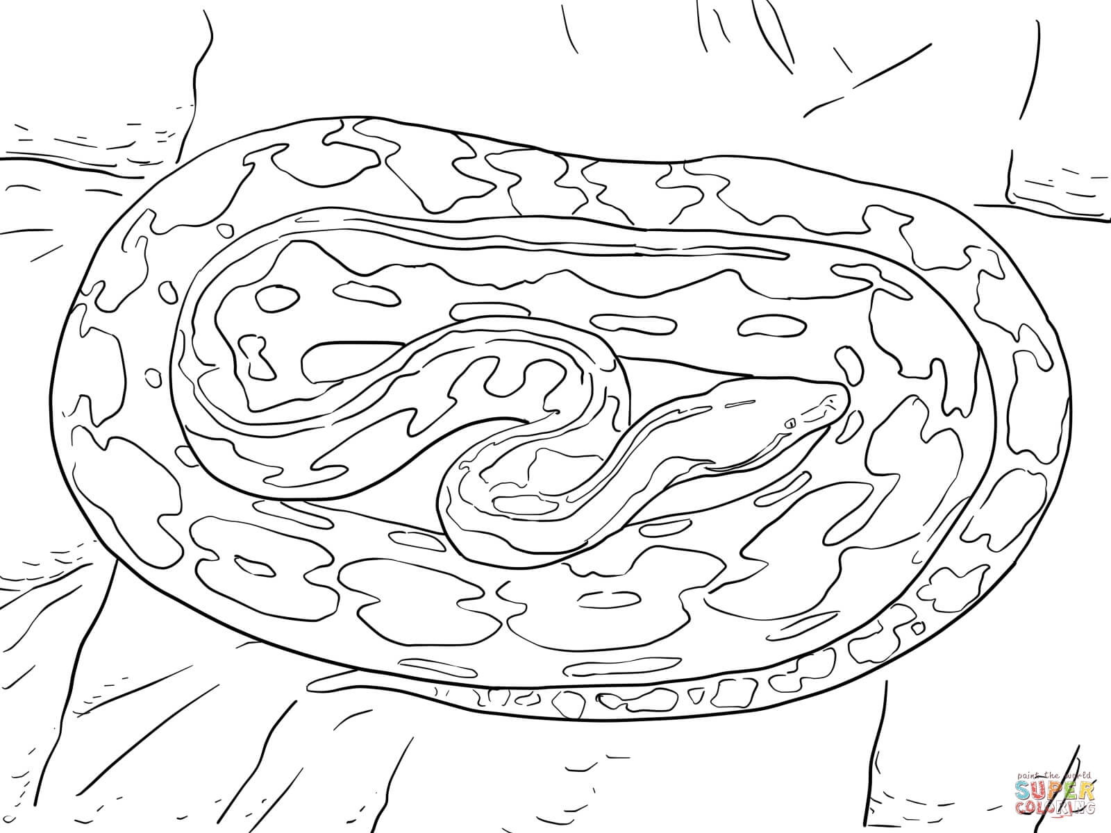 Ball python coloring pages at getcolorings.com