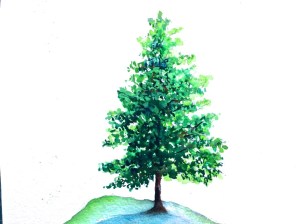 pine tree watercolor paint christmas tutorial drawing easy beginners step fir trees douglas getdrawings fast watercolors paintingvalley diy