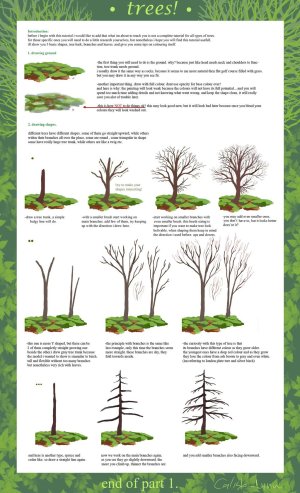 tree trees drawing tutorial painting draw deviantart paint calisto lynn pine drawings leaves bark parts tutorials reference plants watercolor realistic