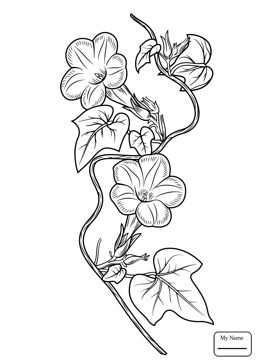 Free printable poison ivy dc super hero girls coloring page. Ivy Leaf Drawing at GetDrawings | Free download