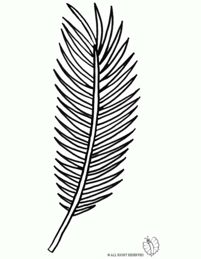 Parents may receive compensation when you click through and purchase from links contained on this website. Palm Tree Leaf Drawing at GetDrawings | Free download