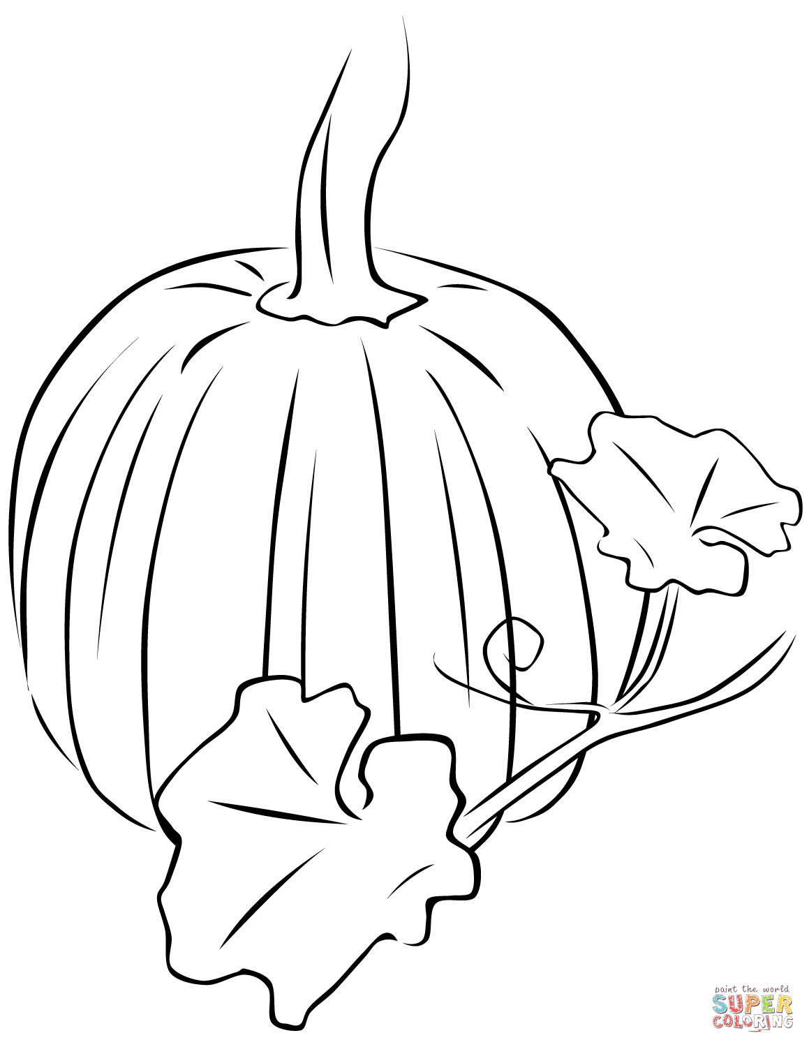 Pumpkin Leaf Drawing at GetDrawings | Free download