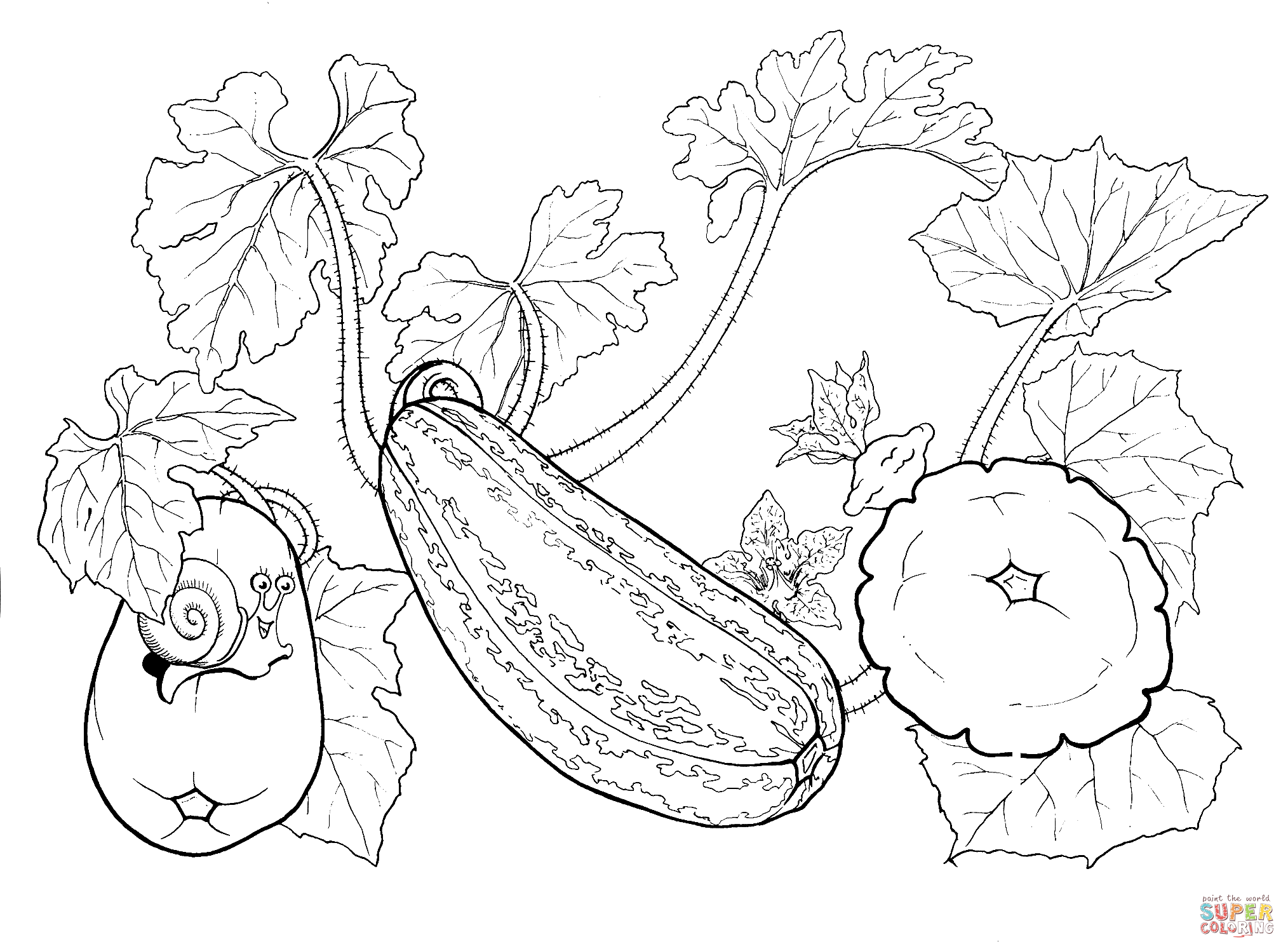 It's also easy to grow at home. Squash Drawing at GetDrawings | Free download