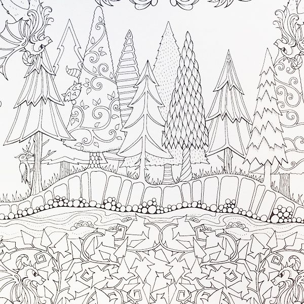 Chronicle Books Enchanted Forest Coloring Book | JOANN