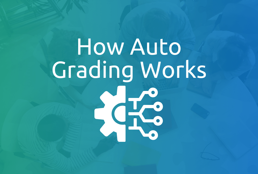 Feedback Loop Auto Grading