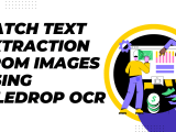 How To Batch Extract Text From Files With Filedrop Web Platform Filedrop