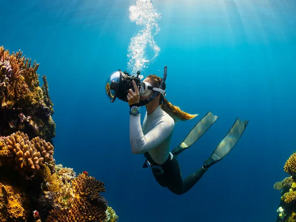 Marmaris Diving