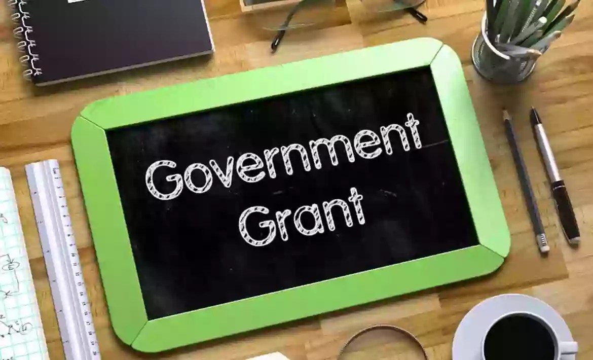 How to Request a Grants from government 2024