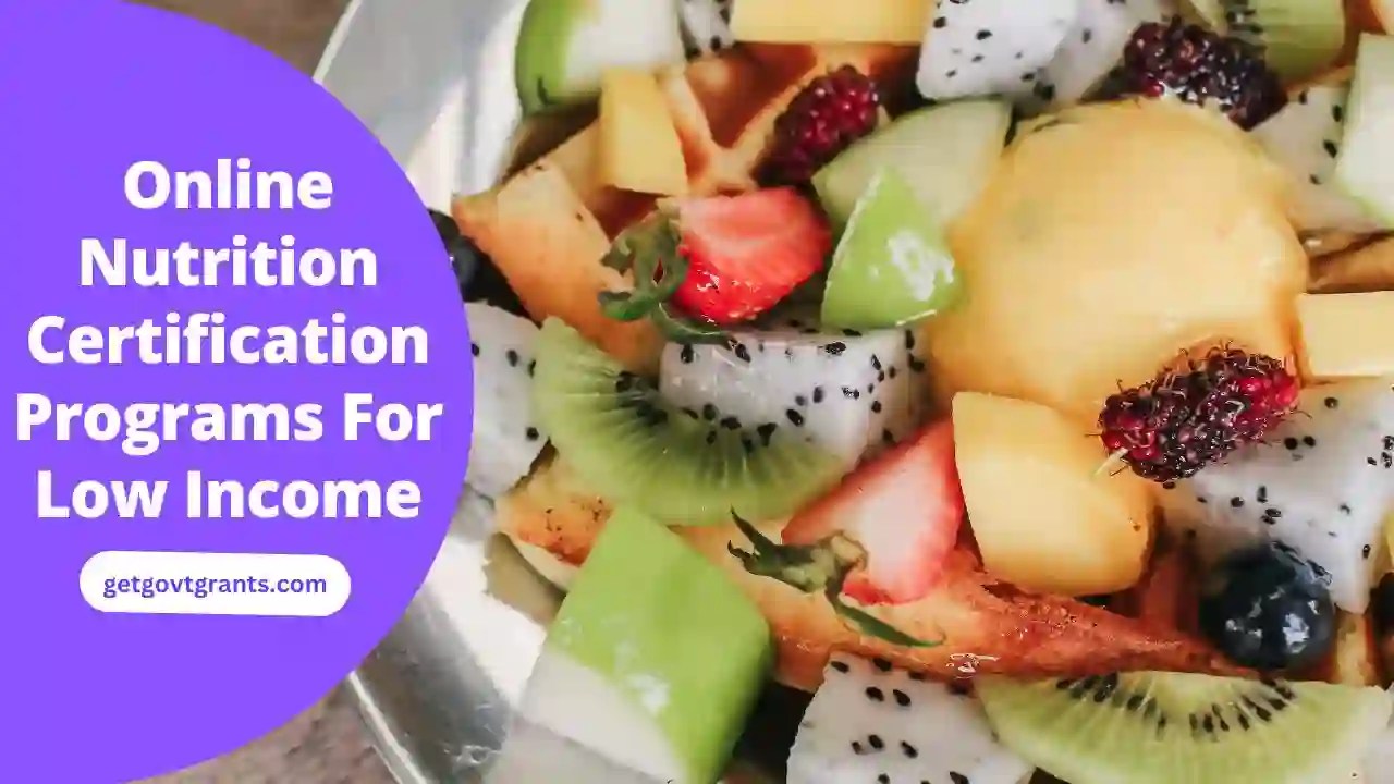 Online Nutrition Certification Programs For Low 2024