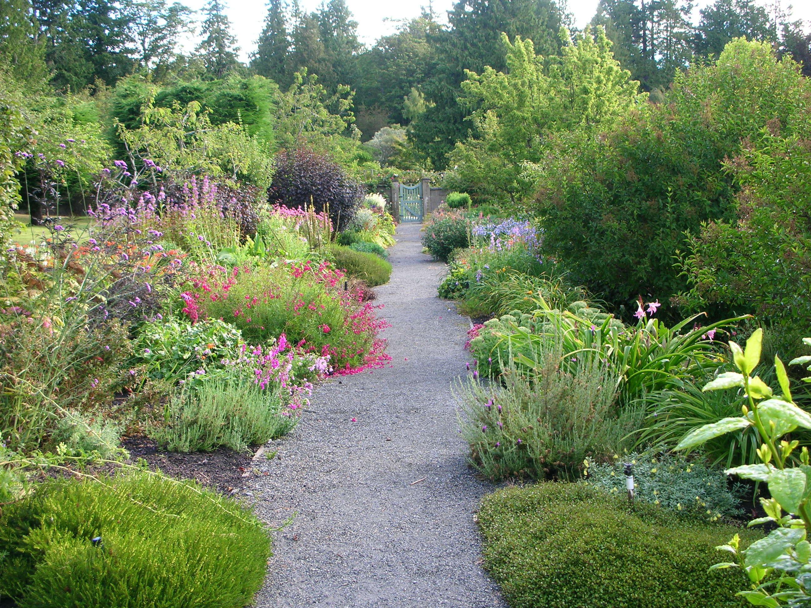 Getting through the “Overwhelm” Catherine Novak's RRU Blog