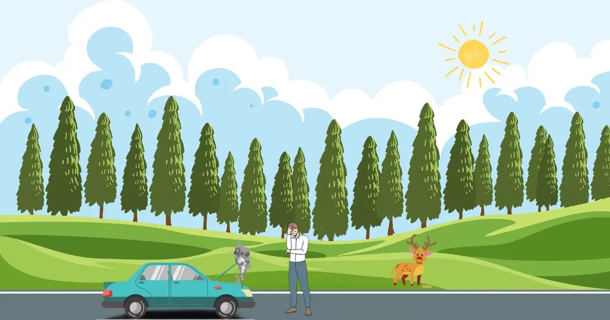 battery jumper cables for car