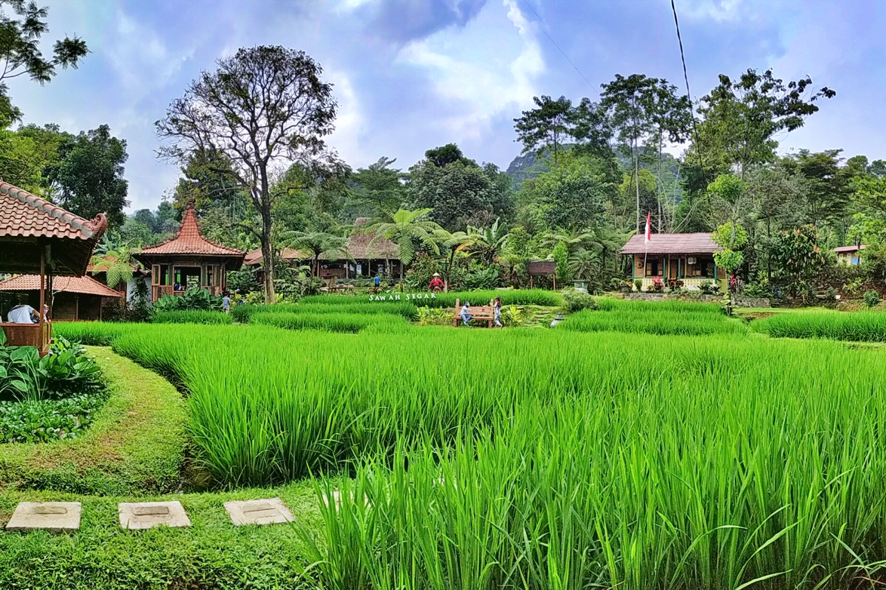 Tempat Makan Daerah Sentul City