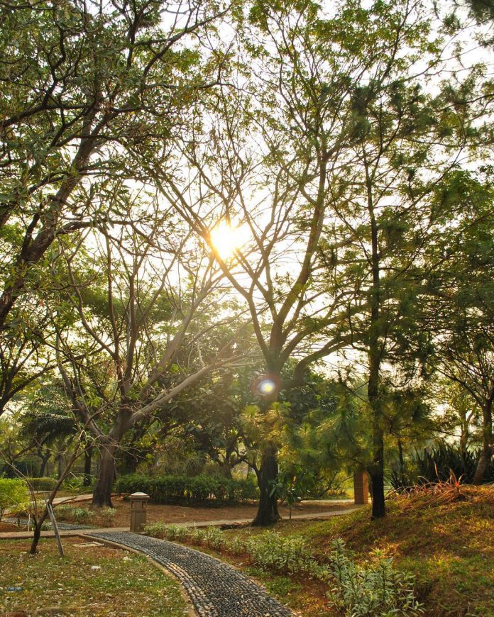 Dengan photoshop, anda bisa memecah satu foto menjadi beberapa bagian untuk . Lari Pagi di Taman Jogging Kelapa Gading - Where Your