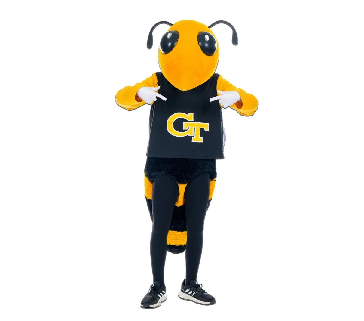 Buzz