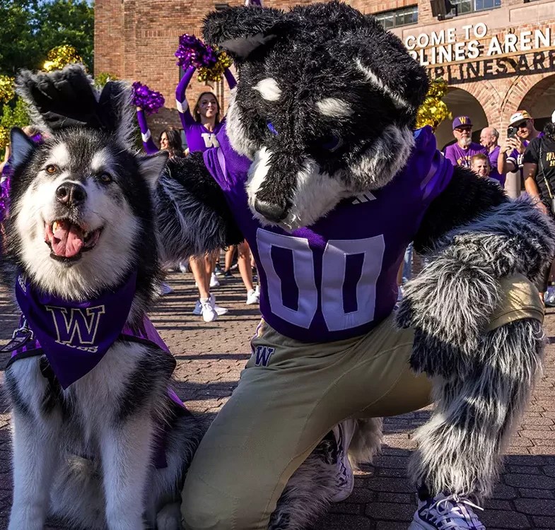 Dubs & Harry the Husky