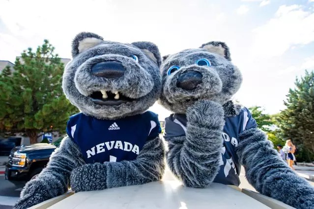 Alphie and Wolfie Jr