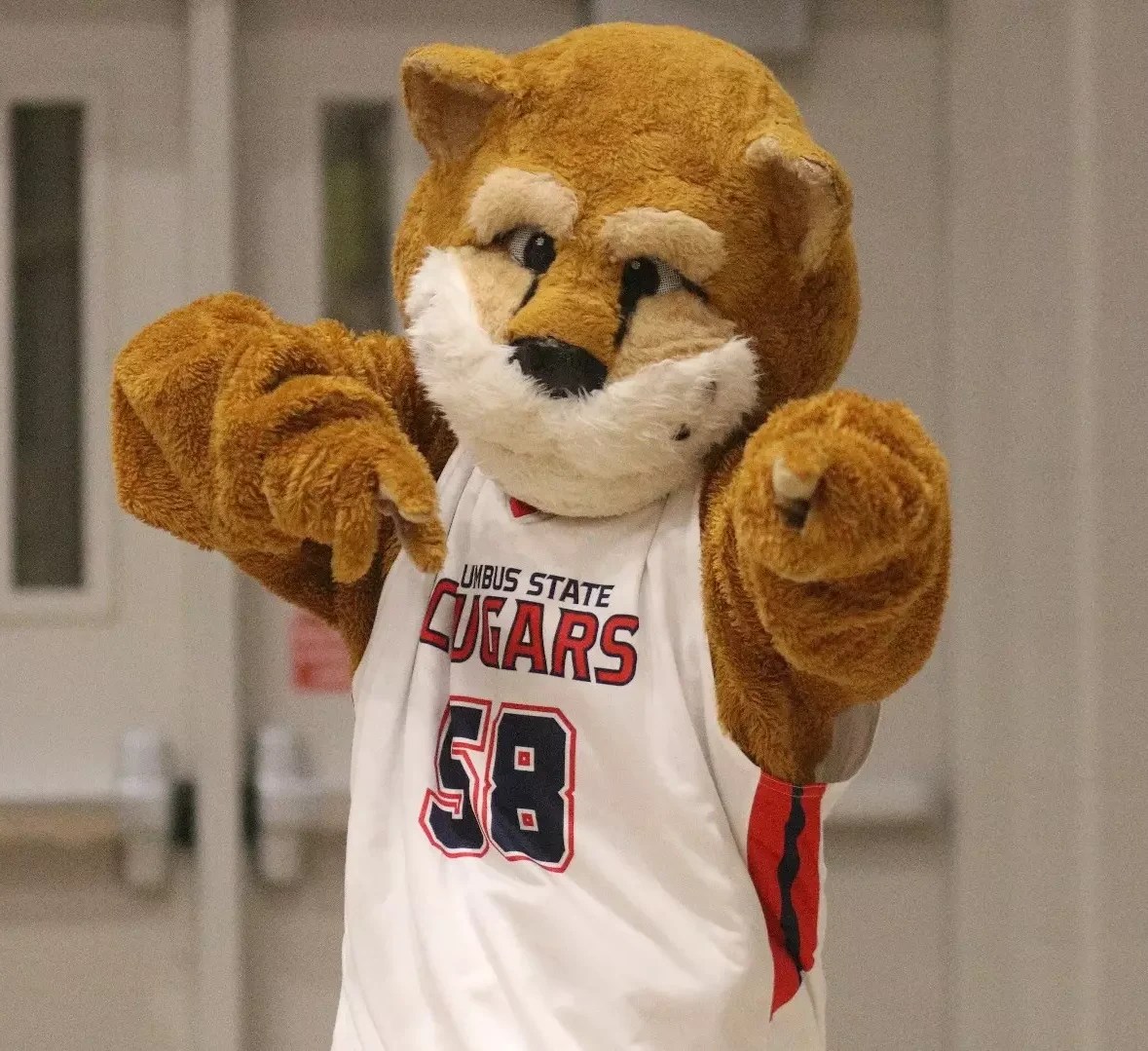 Cody the Cougar