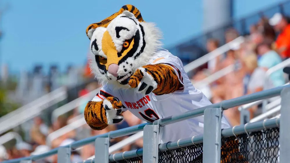 Princeton Tiger