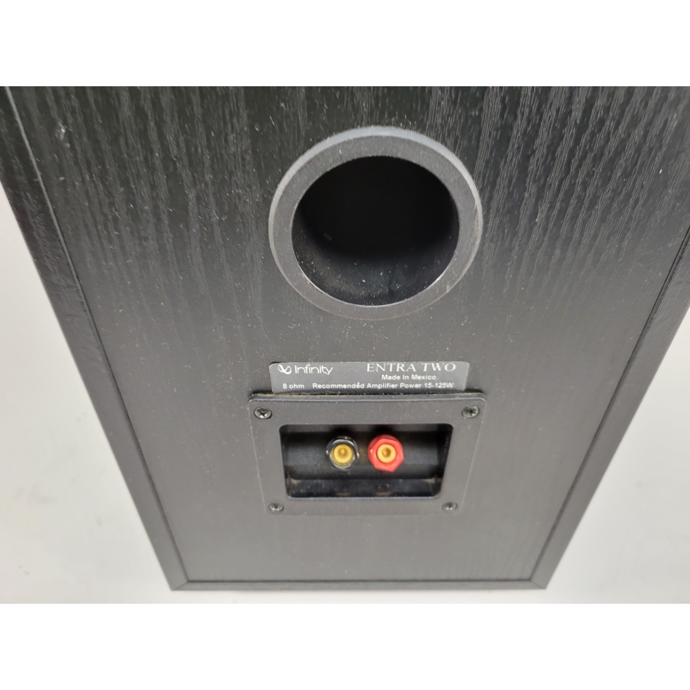 Infinity Entra Sub Surround Speaker Set and Subwoofer - Tested