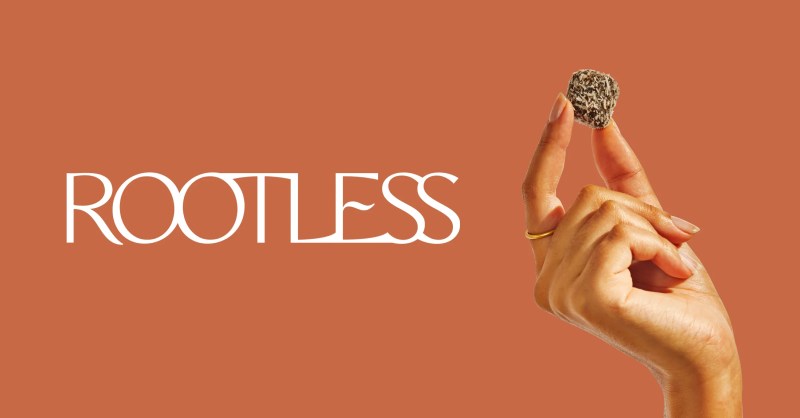 Rootless Washington Mind - City Background Collection - 4K Quality