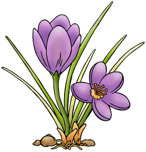 Video Lustige Osterhasen Bilder So Zeichnen Sie Sie Im Comic Style Schritt Fur Schritt