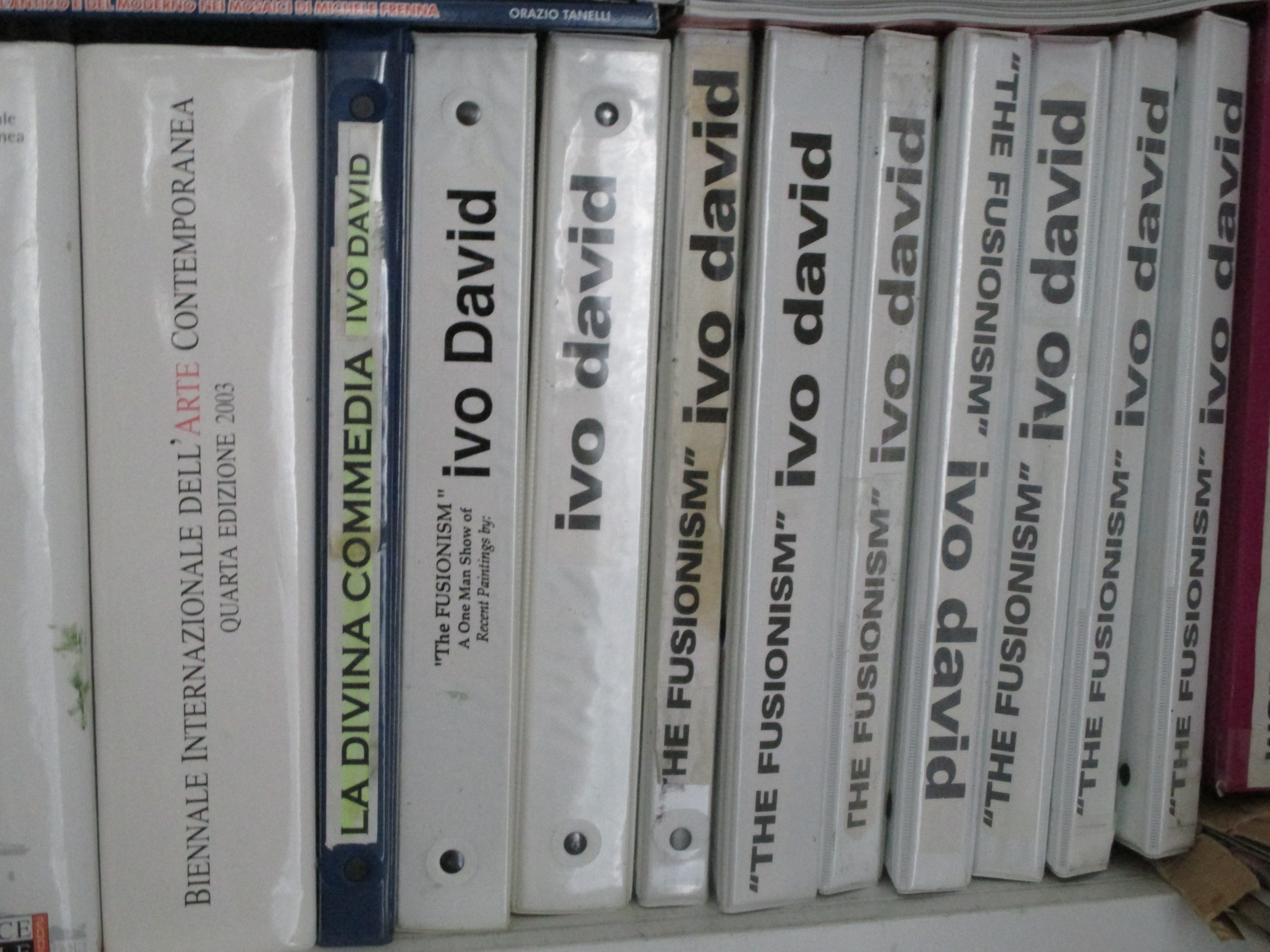 Books on the life of fine artist Ivo David and the Fusionism artistic movement he founded are displayed in the artist's studio.