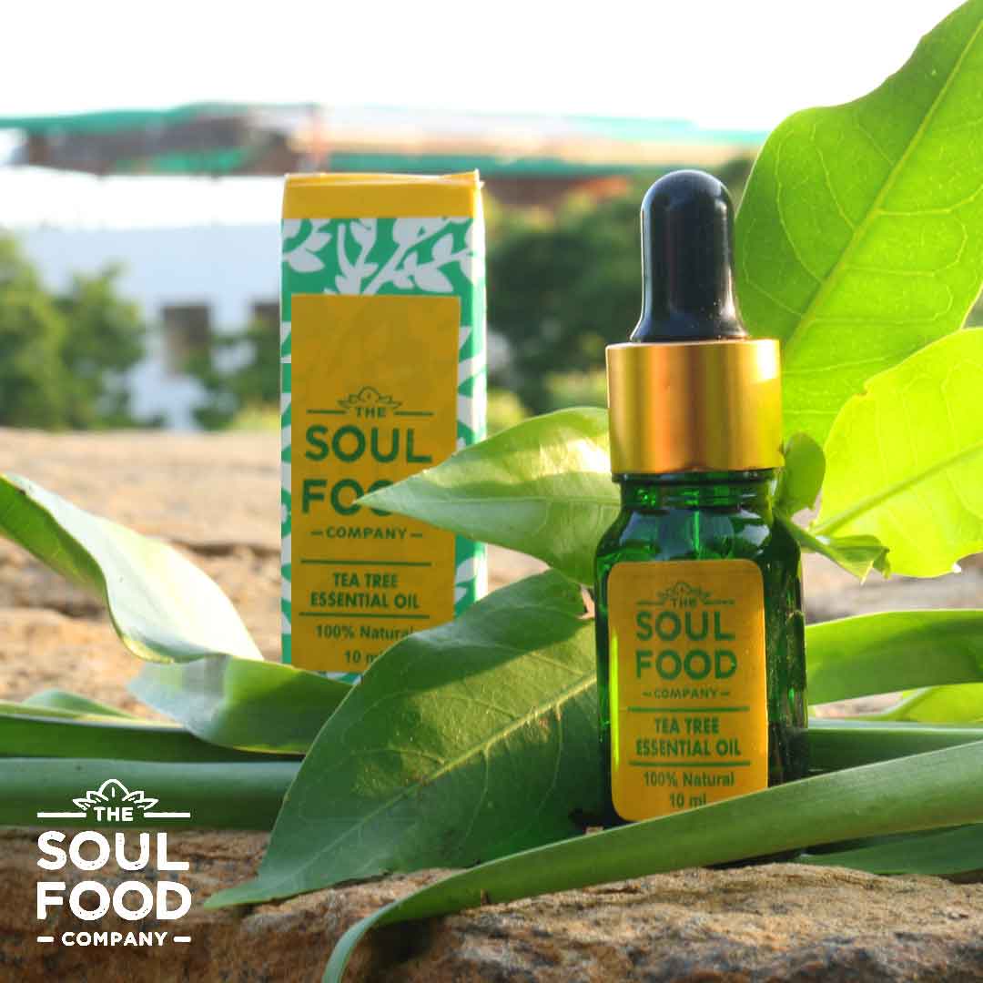 Tea Tree Oil 100 Pure Therapeutic Essential Oils At Wholesale Price