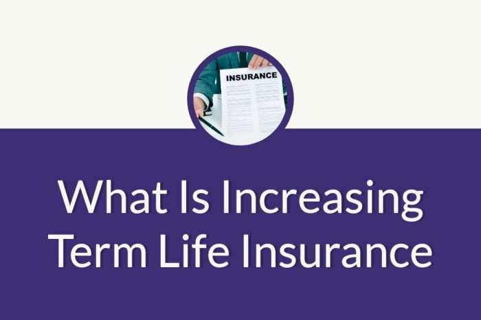 What Is Increasing Term Life Insurance Is term life insurance included in net worth