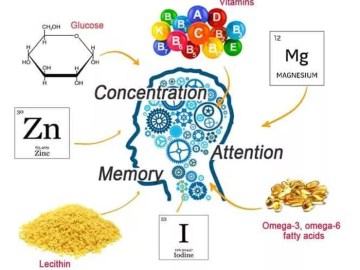 Ways to Improve Memory