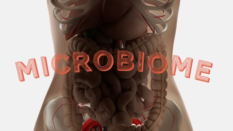 cancer and gut health