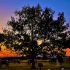 Spring 2023 Photo Contest 7 The Angle Sunset 10 15 19 AAAA scaled