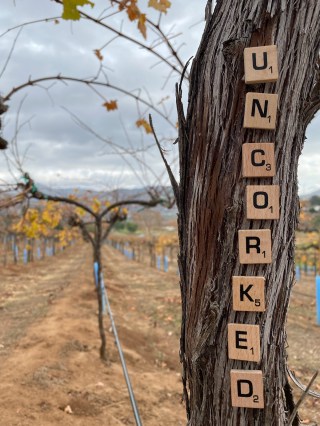 UnCorked Wine Bar, business photo 5