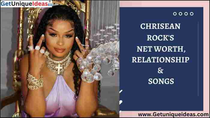 Chrid rock net worth
