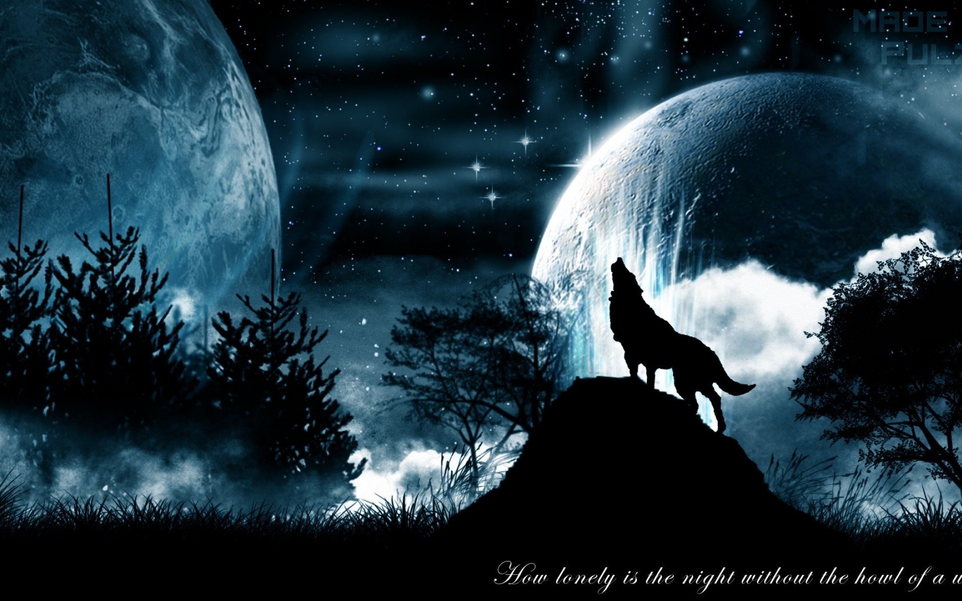 We hope you enjoy our growing collection of hd images to use . Fire Wolf Wallpaper (61+ images)
