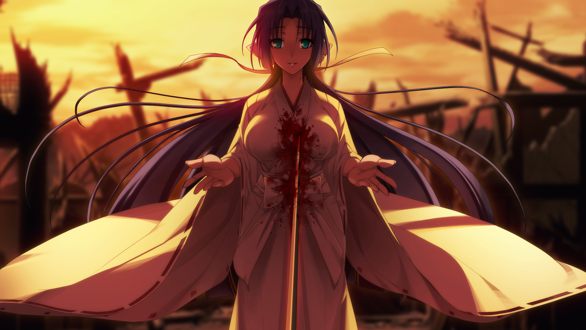 Soukou Akki Muramasa Cg