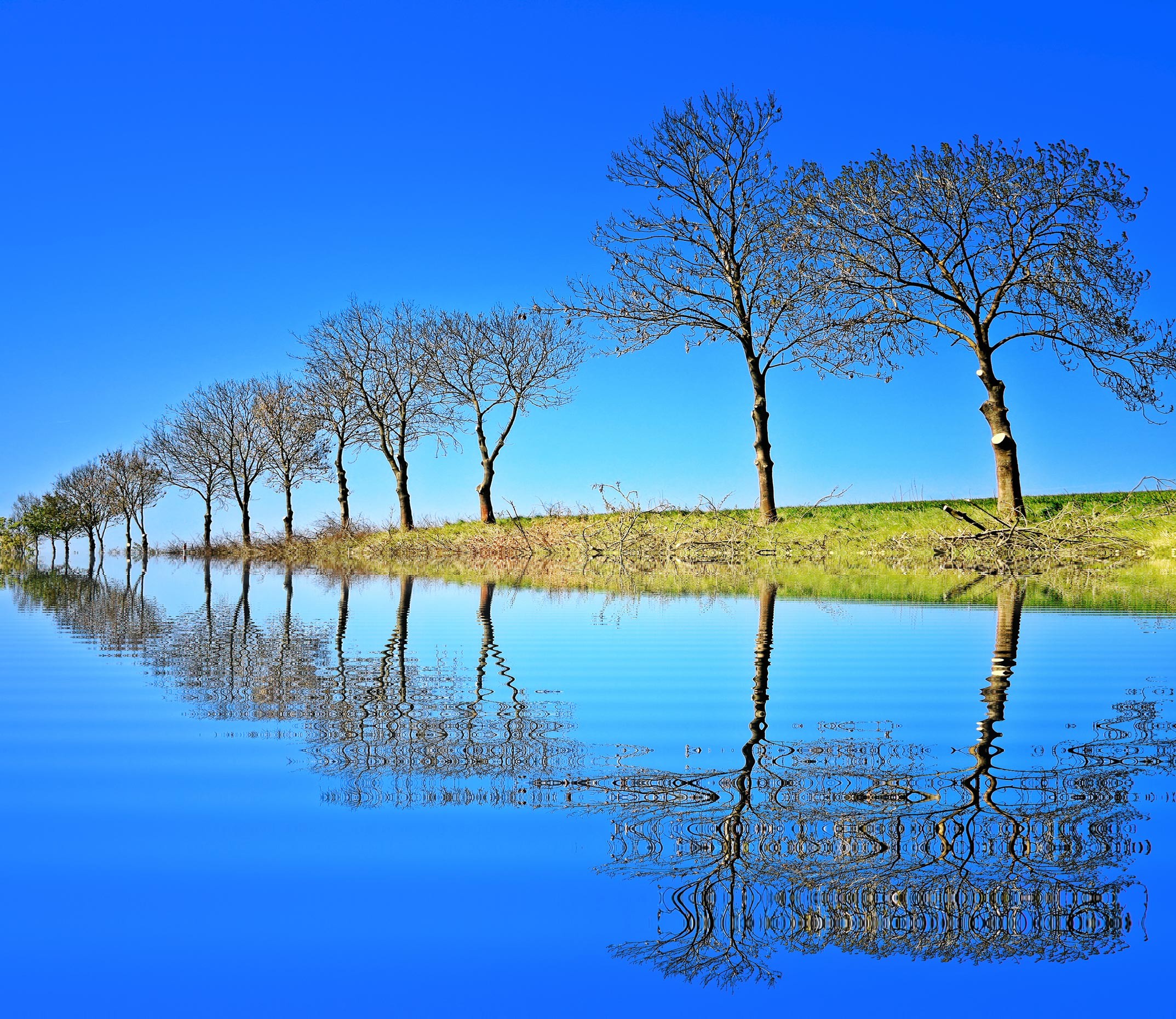 Beautiful nature scenery wallpaper (56+ images)