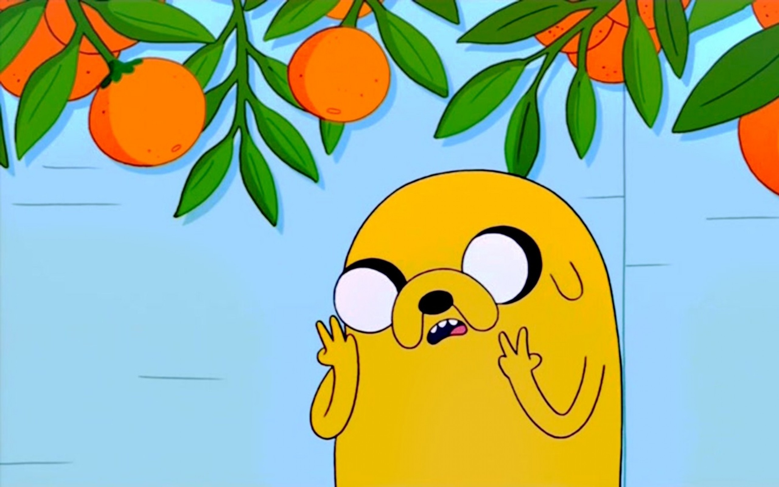 jake the dog wallpaper (64+ images) on jake the dog wallpapers