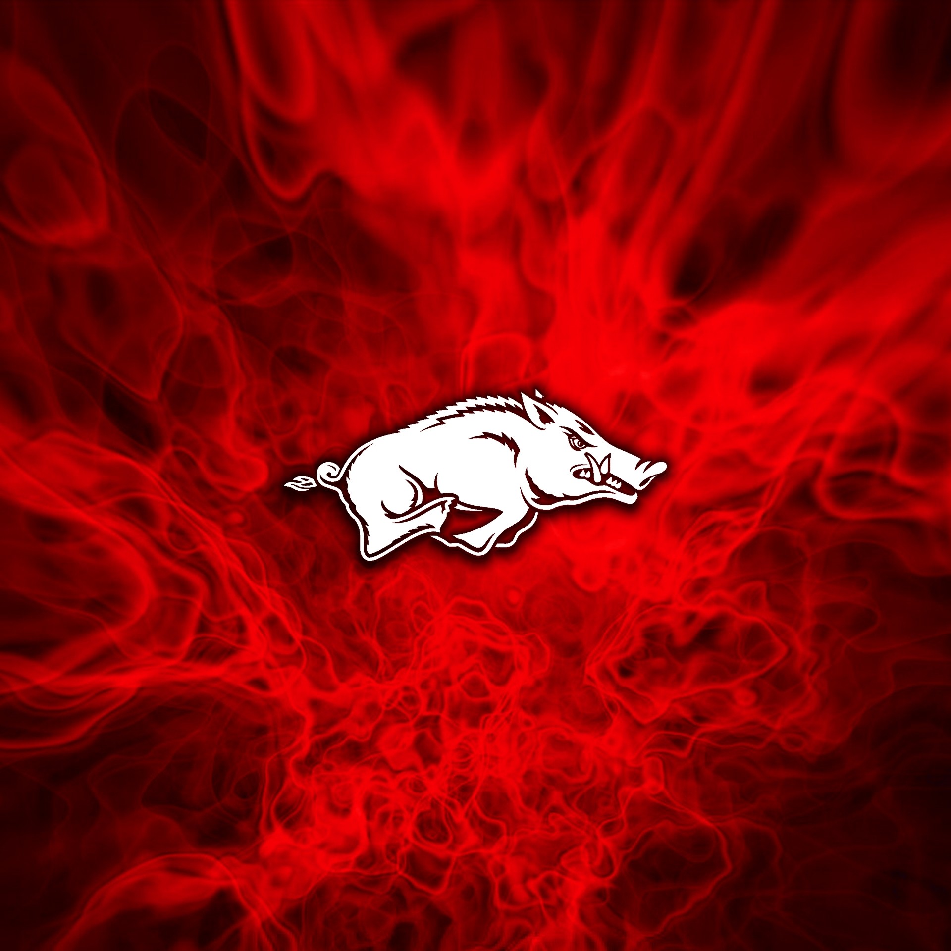 Razorback wallpaper (64+ images)